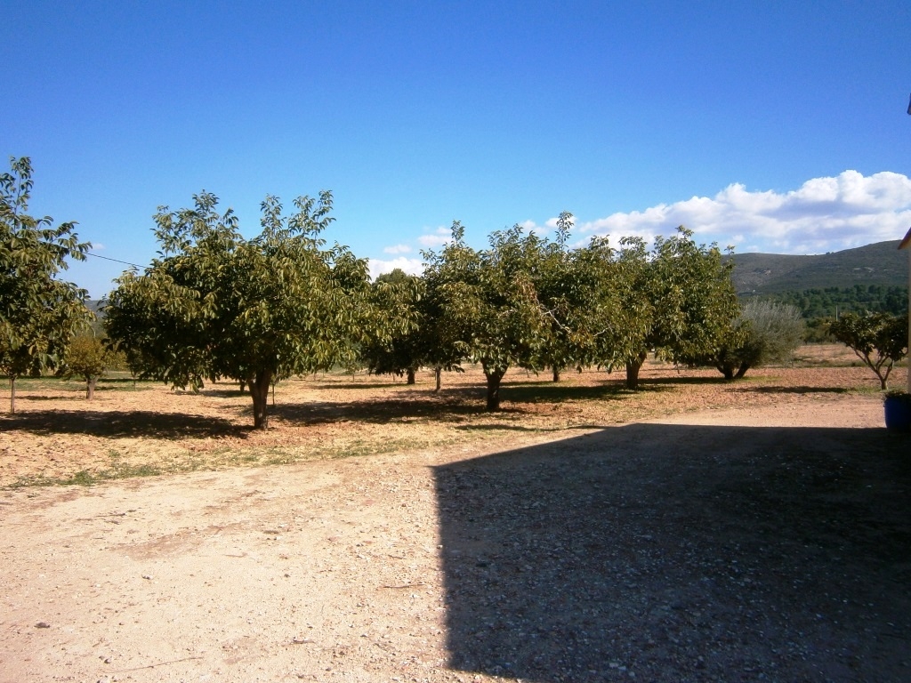 Videresalg - Country House - Ontinyent