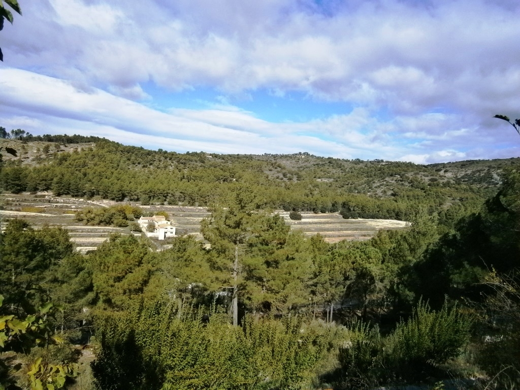 Na sprzedaż - Country House - Alcoy