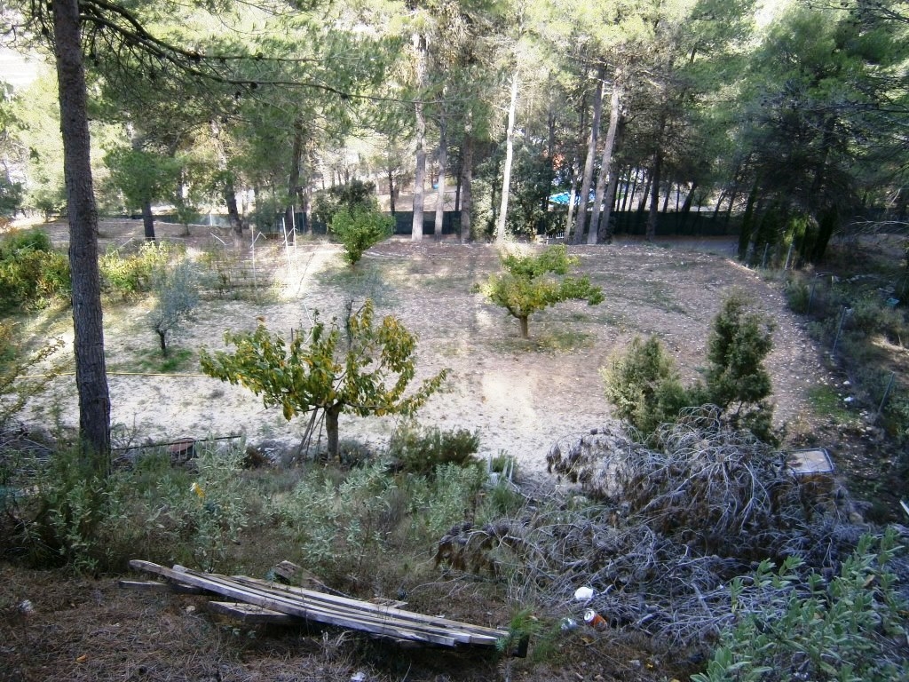 Na sprzedaż - Country House - Alcoy