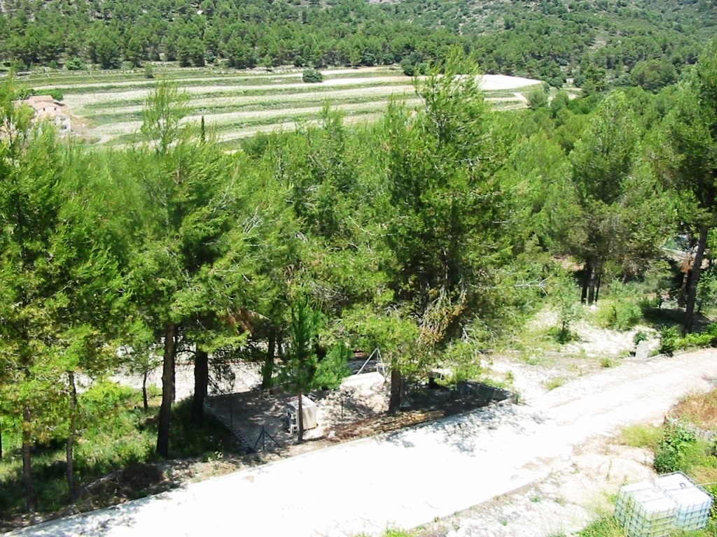 Na sprzedaż - Country House - Alcoy