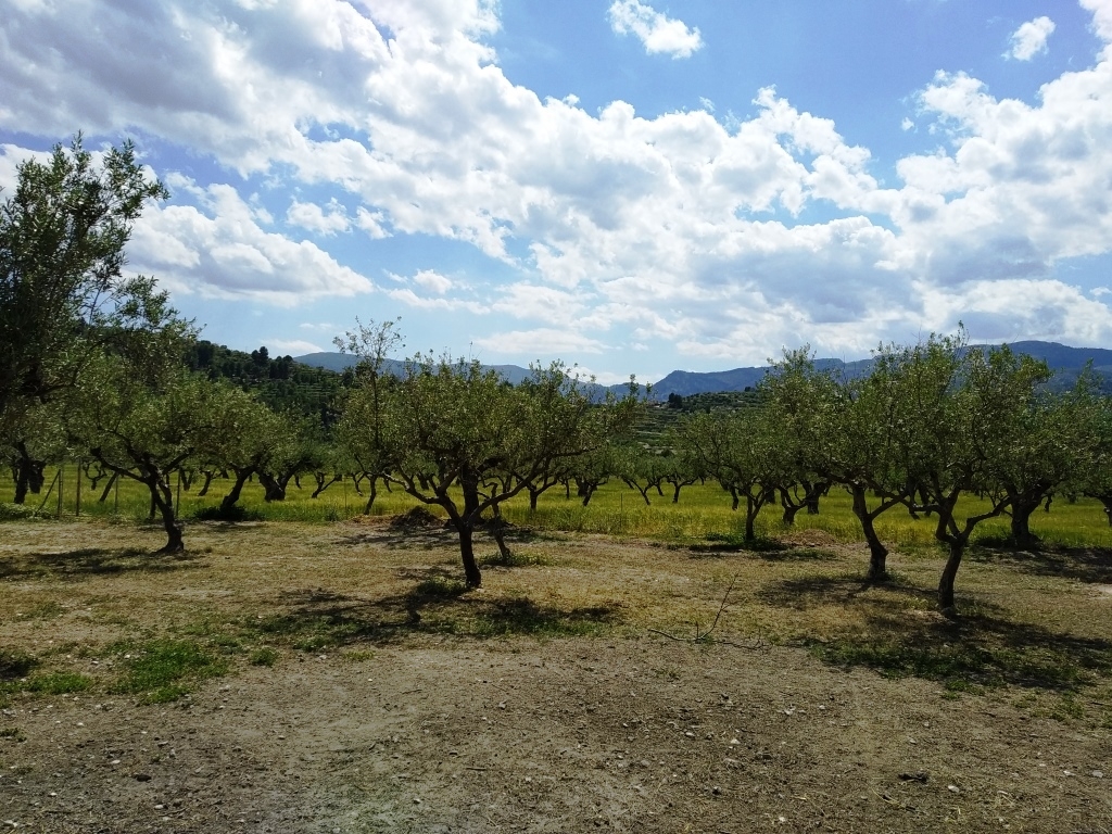 Verkauf - Finca - Cocentaina