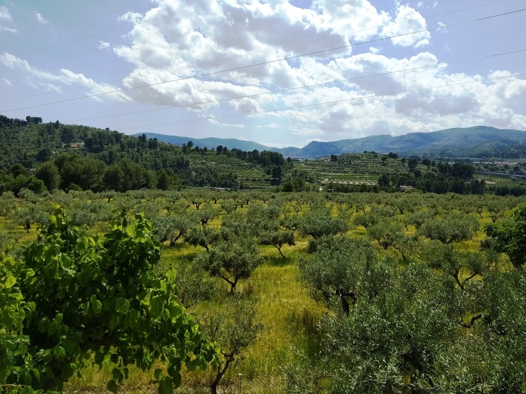 Verkauf - Finca - Cocentaina