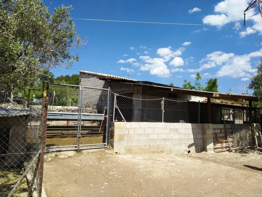 Verkauf - Finca - Cocentaina