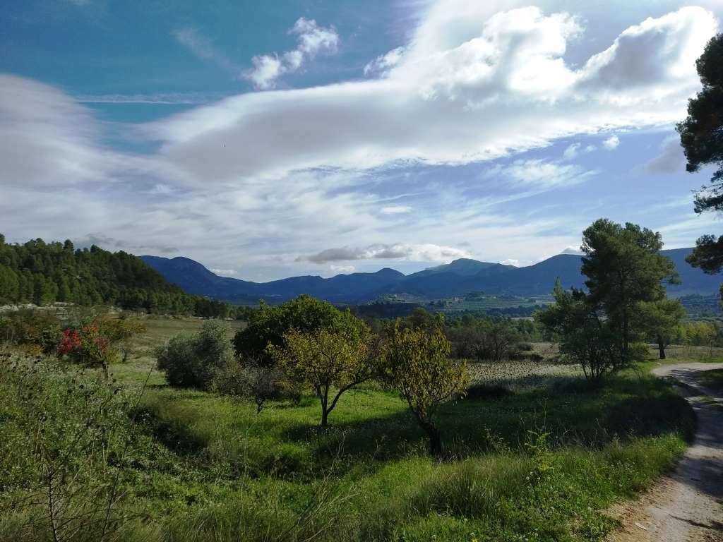 Na sprzedaż - Finca - Benilloba