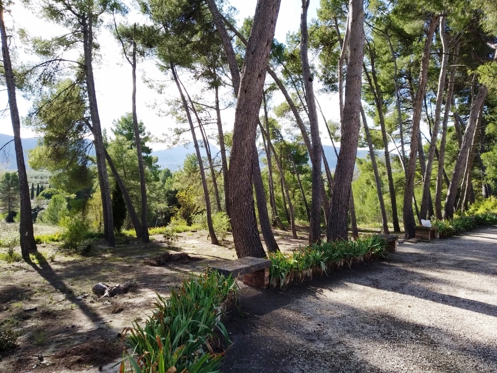 Na sprzedaż - Finca - Benilloba