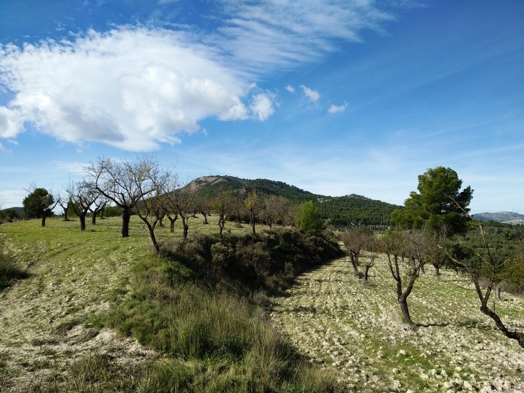 Na sprzedaż - Finca - Benilloba