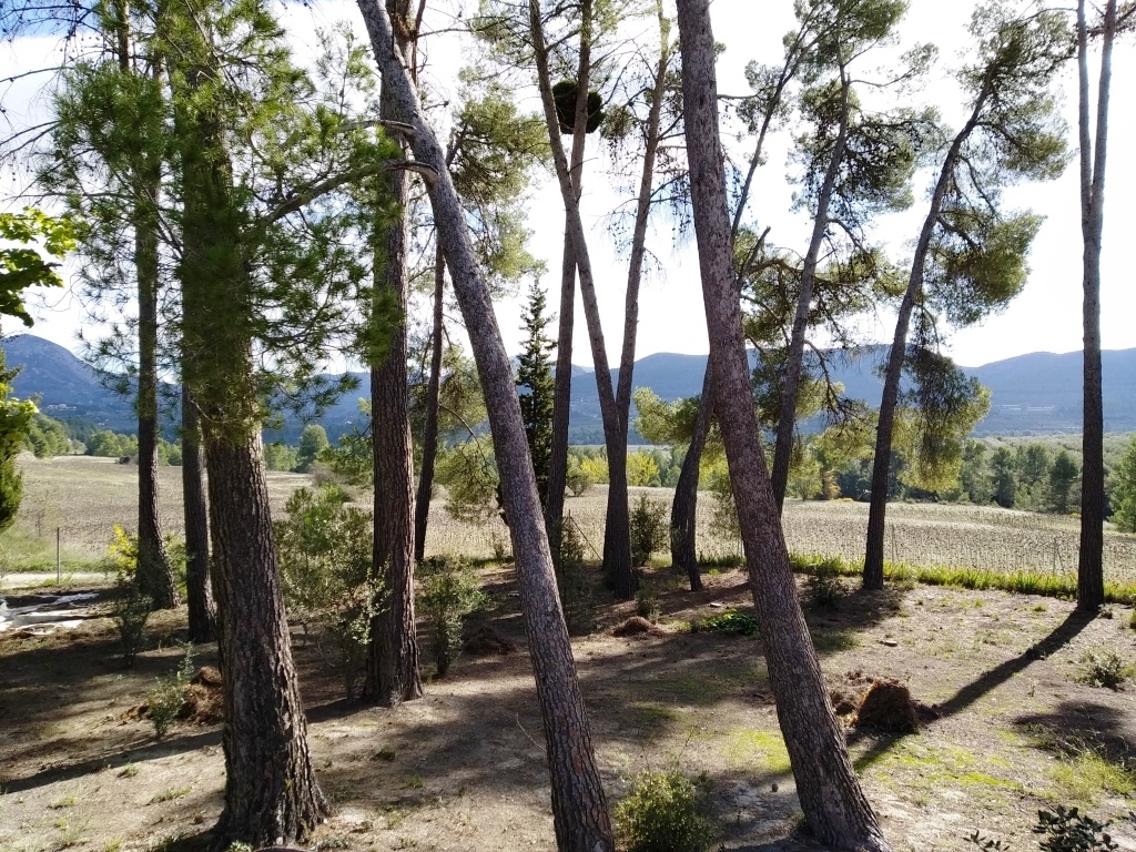 Na sprzedaż - Finca - Benilloba