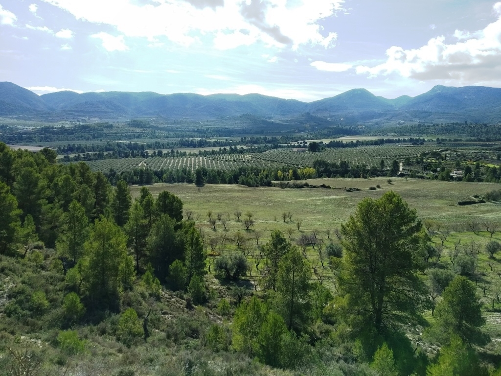 Na sprzedaż - Finca - Benilloba