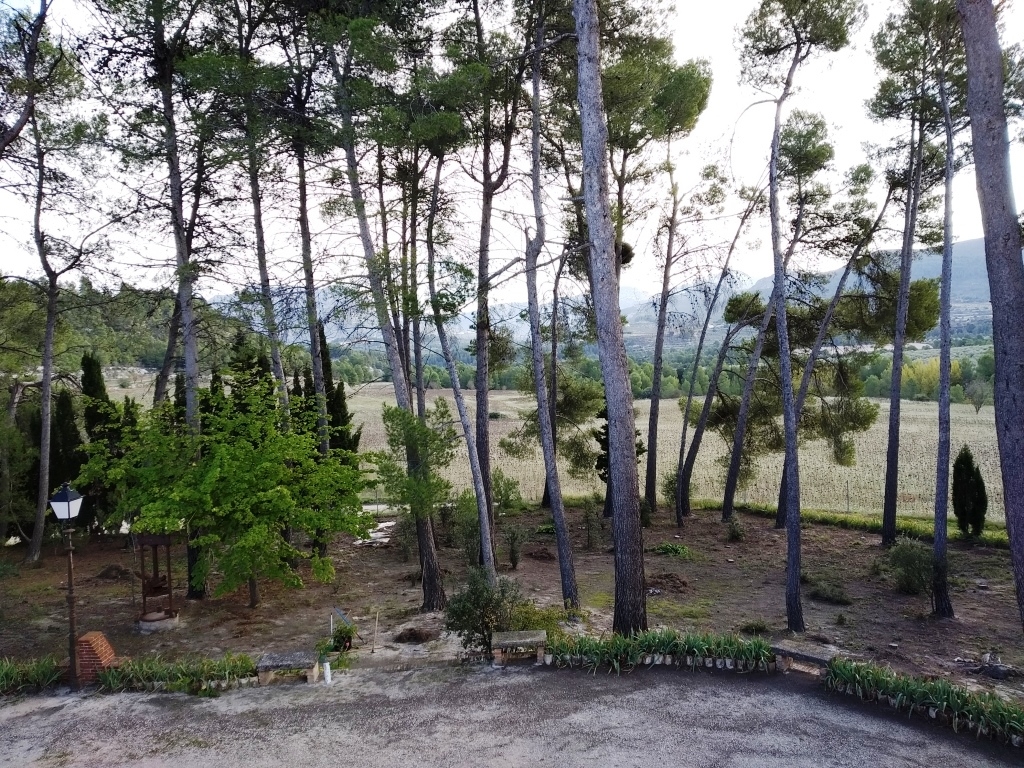 Na sprzedaż - Finca - Benilloba