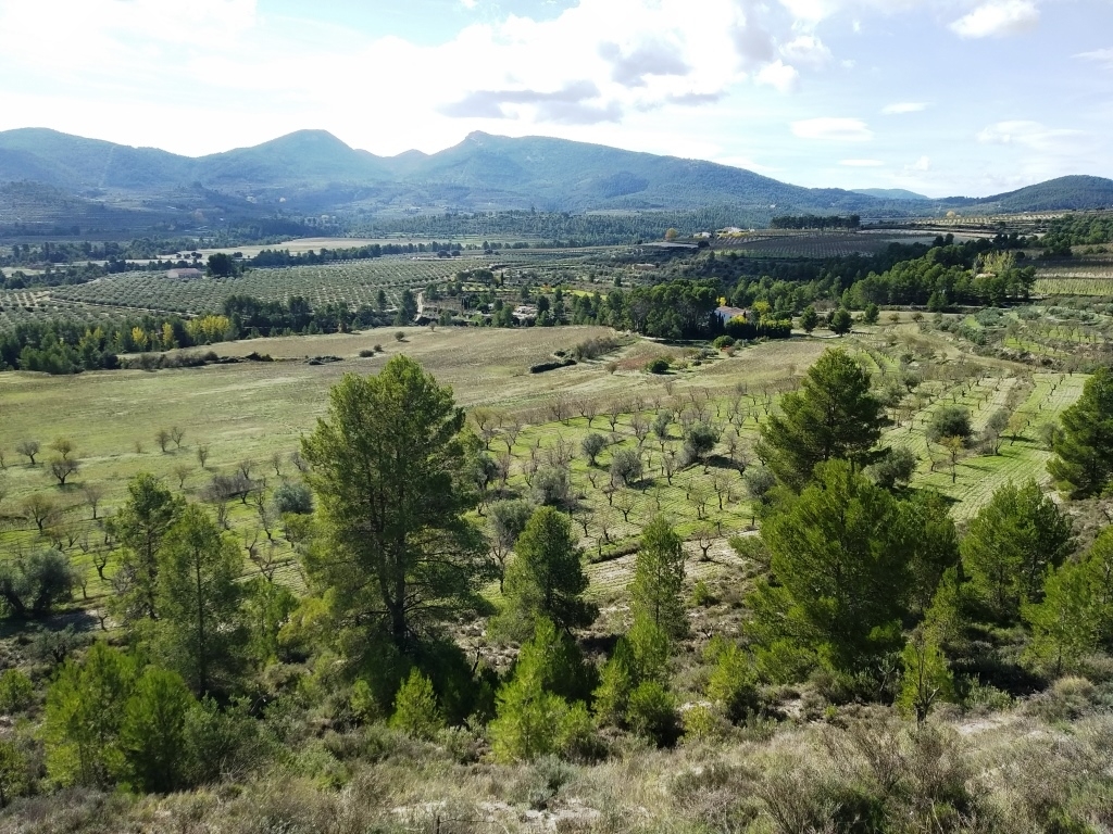 Na sprzedaż - Finca - Benilloba