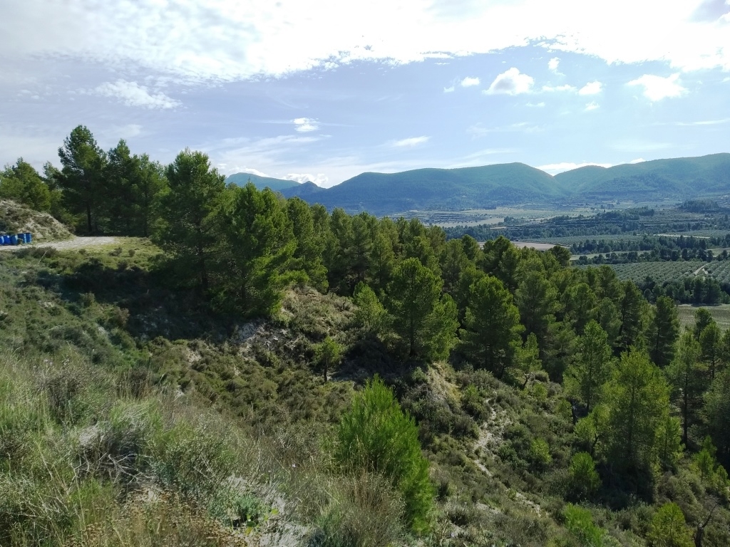 Na sprzedaż - Finca - Benilloba