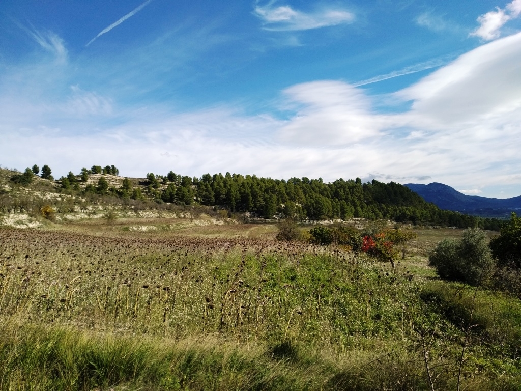 Na sprzedaż - Finca - Benilloba