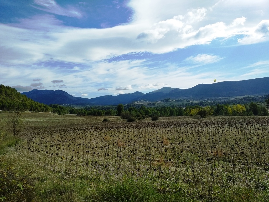 Na sprzedaż - Finca - Benilloba