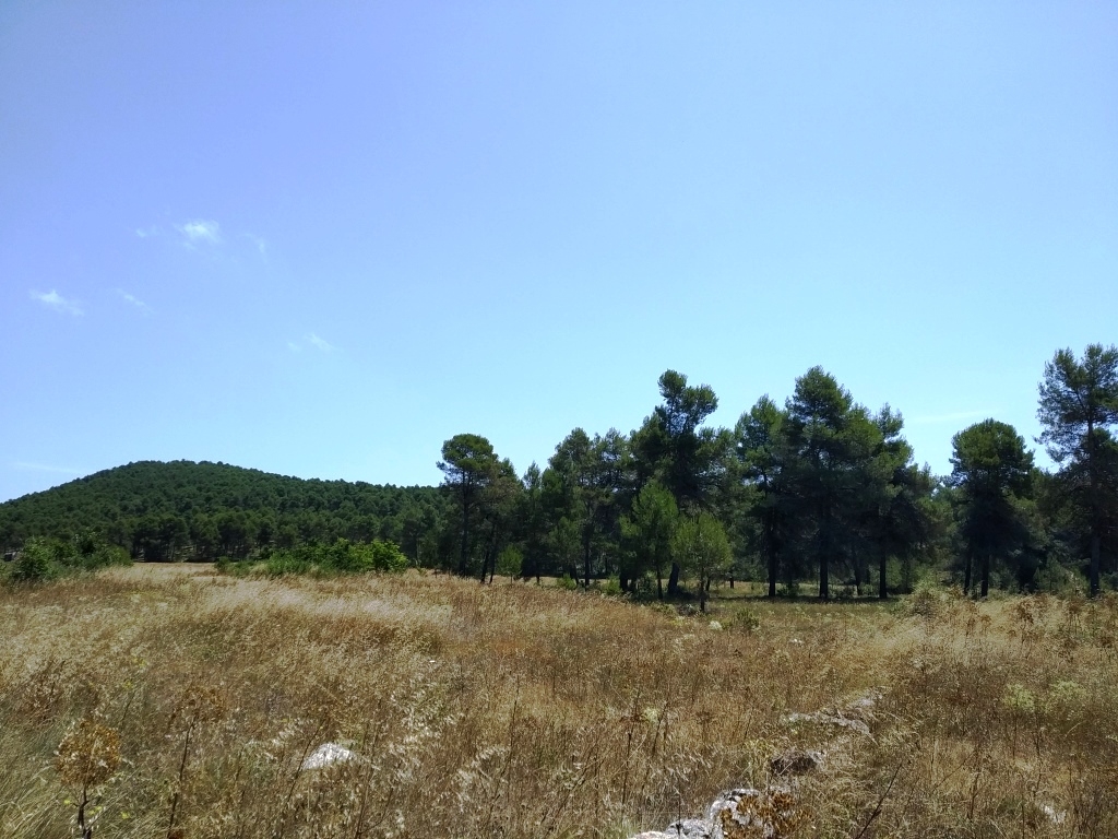 Vente - Finca - Bocairent