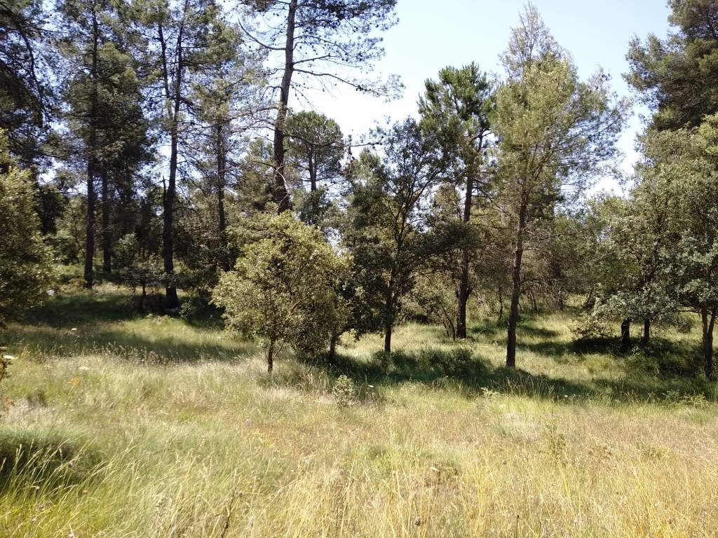 Vente - Finca - Bocairent