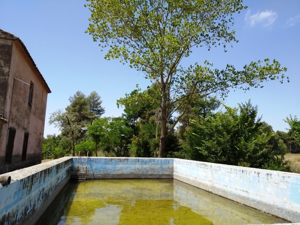 Vente - Finca - Bocairent