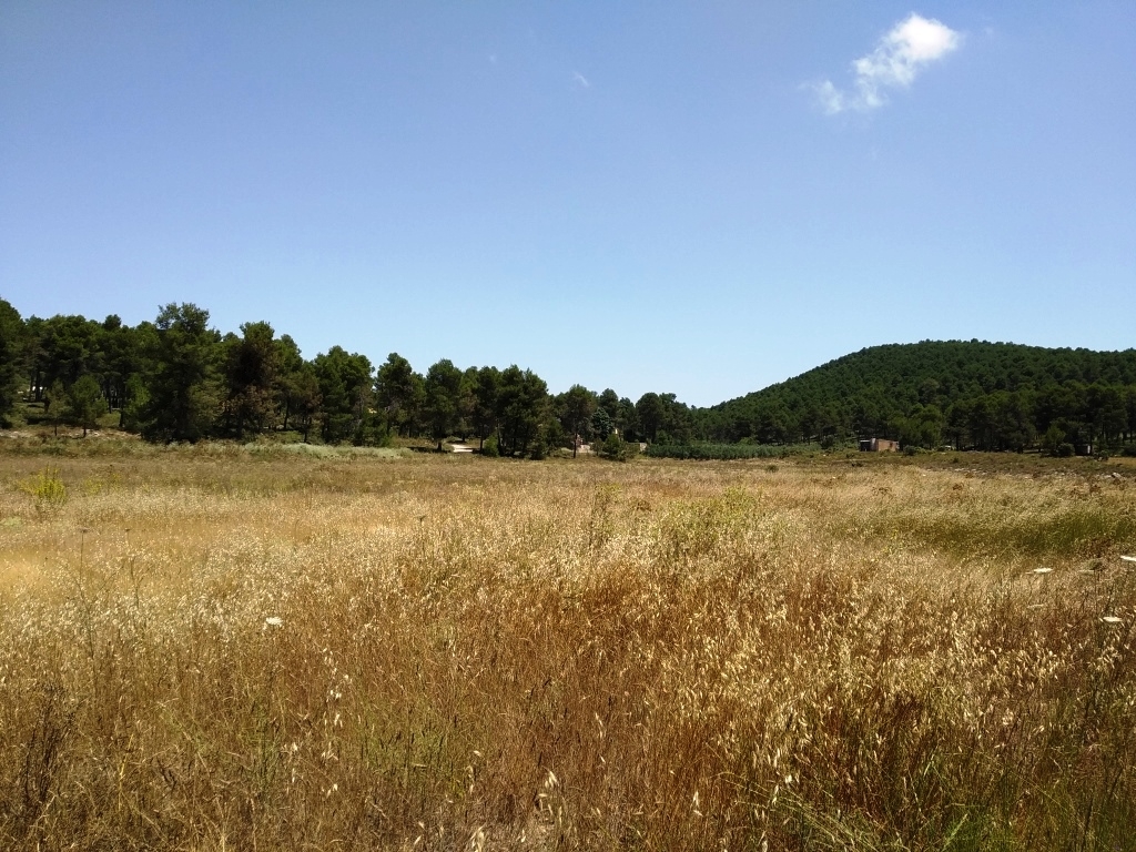 Vente - Finca - Bocairent