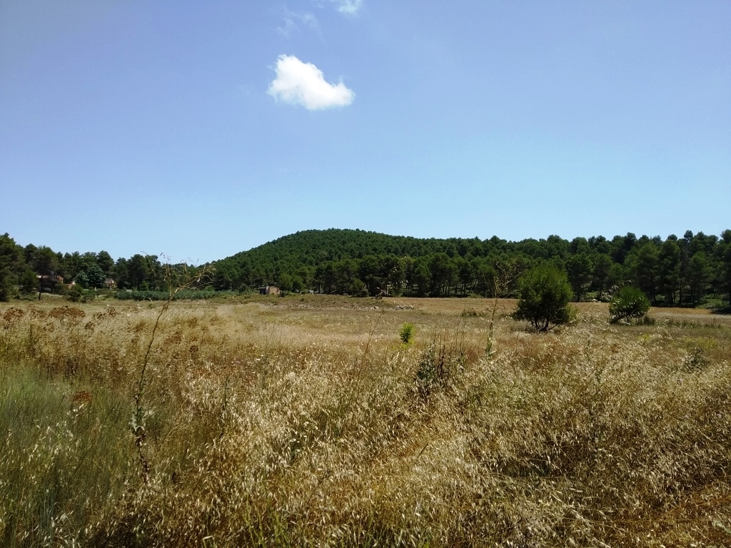 Vente - Finca - Bocairent