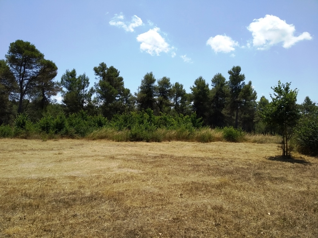 Vente - Finca - Bocairent