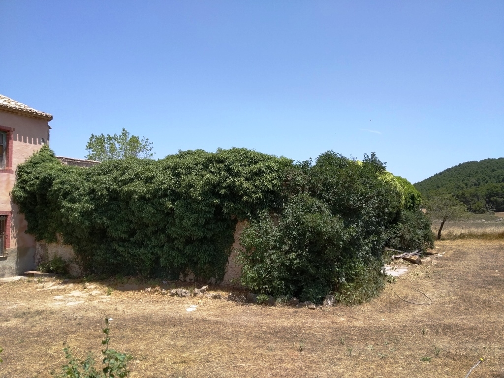 Vente - Finca - Bocairent