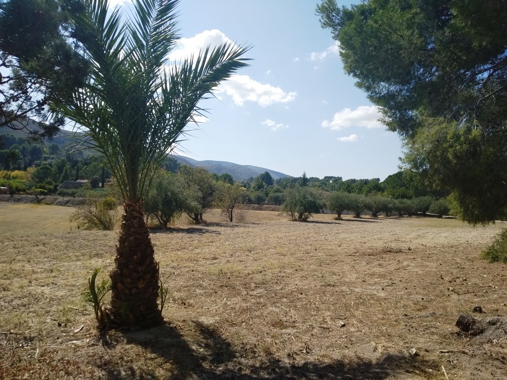  Sale - Finca - Ontinyent