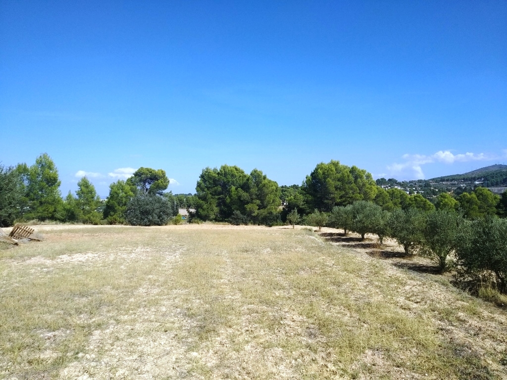  Sale - Finca - Ontinyent