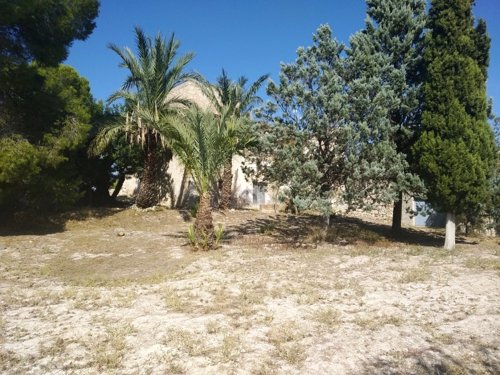  Sale - Finca - Ontinyent