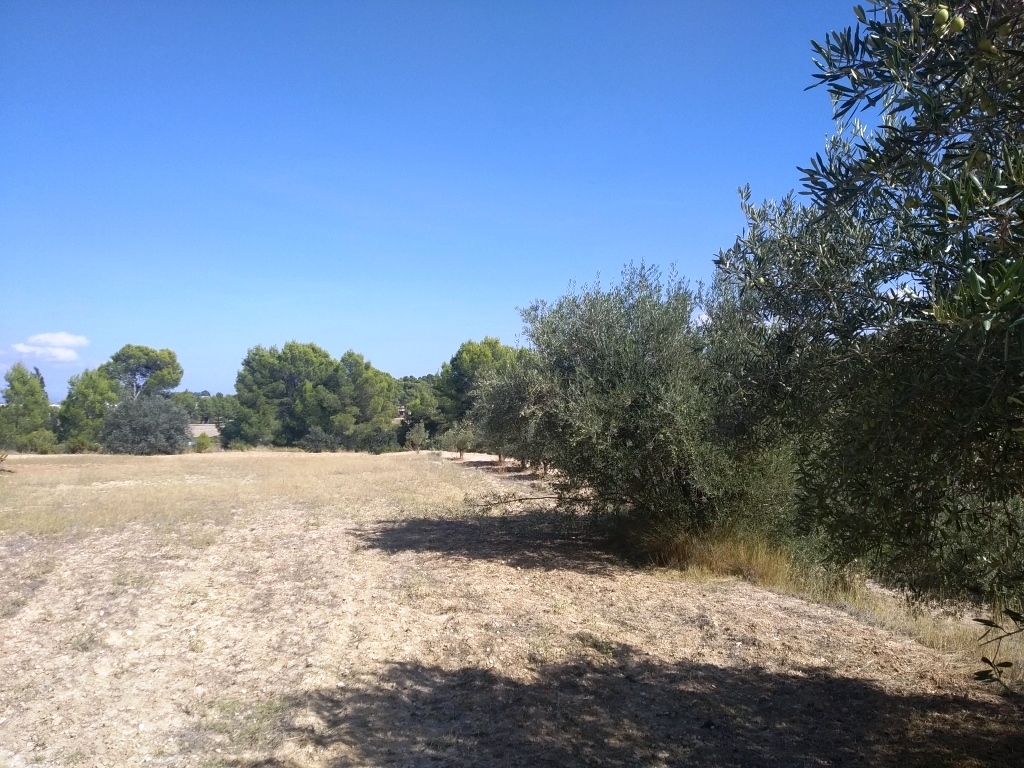  Sale - Finca - Ontinyent