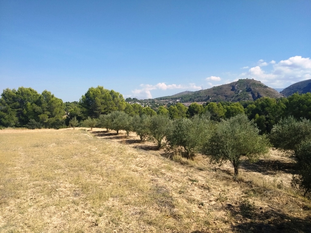  Sale - Finca - Ontinyent