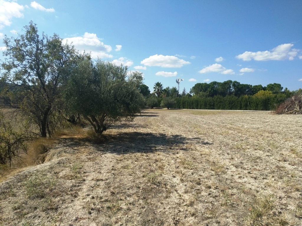  Sale - Finca - Ontinyent