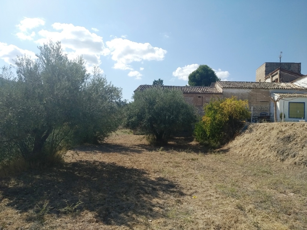  Sale - Finca - Ontinyent