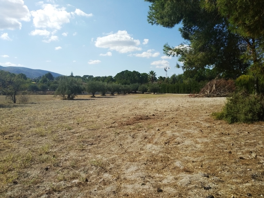  Sale - Finca - Ontinyent