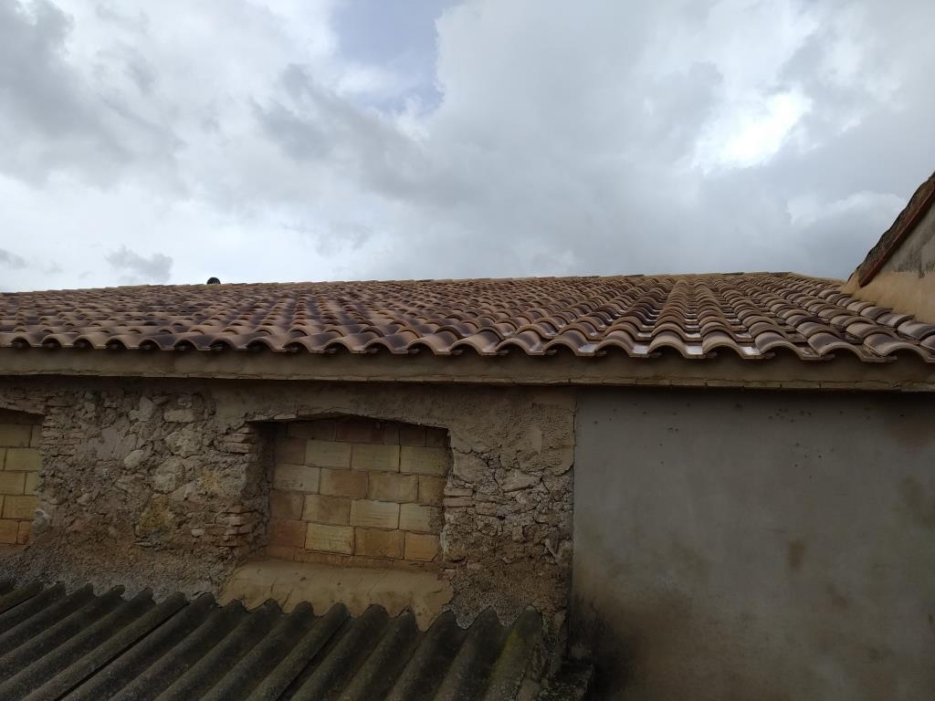 Vente - Finca - Millena