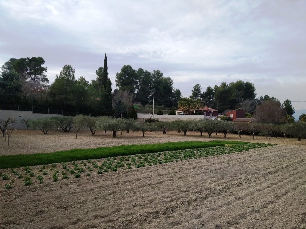 Na sprzedaż - Country House - Ontinyent