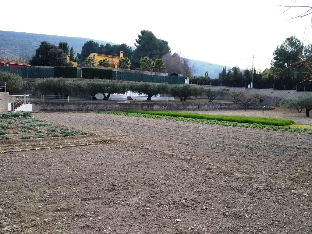 Na sprzedaż - Country House - Ontinyent