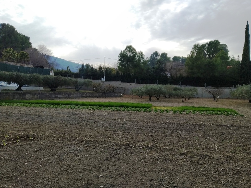 Na sprzedaż - Country House - Ontinyent