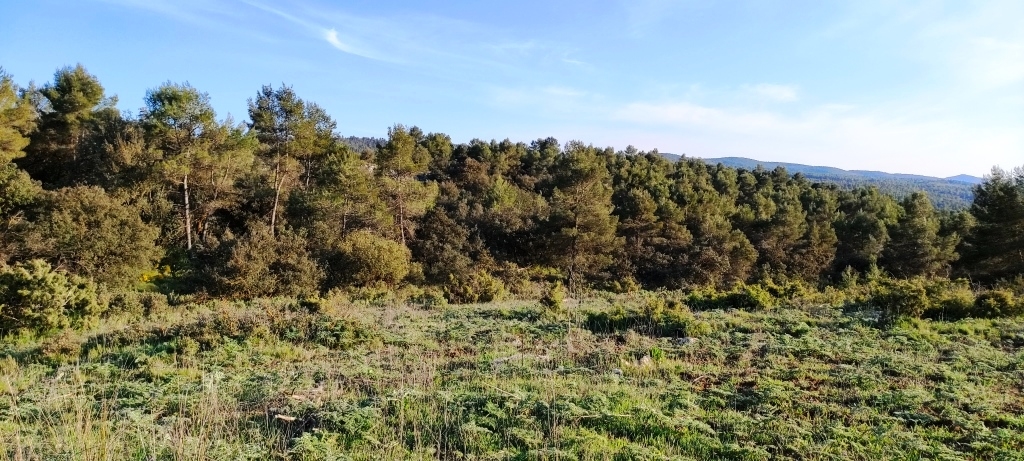 Na sprzedaż - Finca - Bocairent