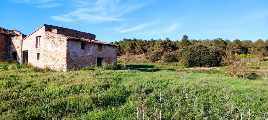 Na sprzedaż - Finca - Bocairent