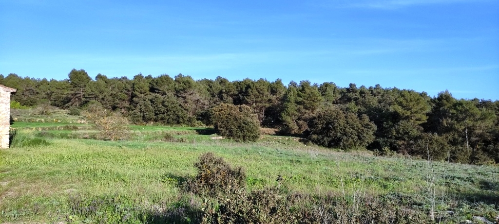 Na sprzedaż - Finca - Bocairent