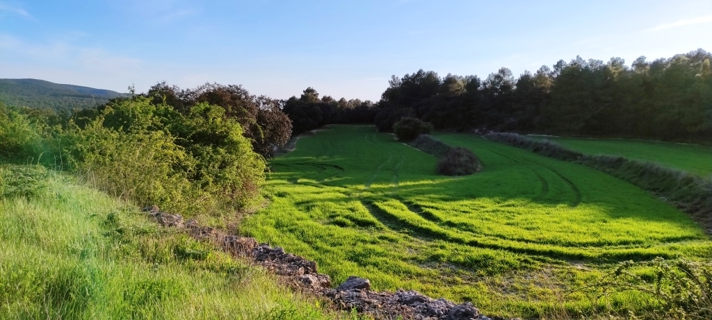 Na sprzedaż - Finca - Bocairent