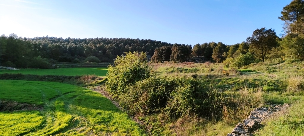 Na sprzedaż - Finca - Bocairent
