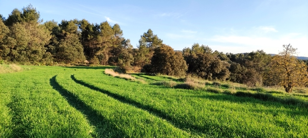 Na sprzedaż - Finca - Bocairent