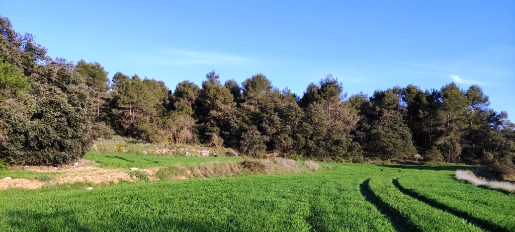 Na sprzedaż - Finca - Bocairent