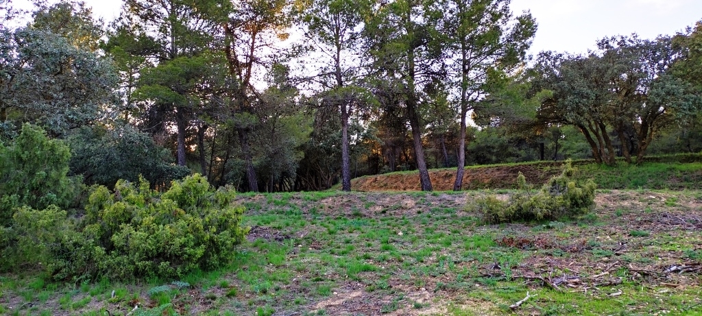 Na sprzedaż - Finca - Bocairent