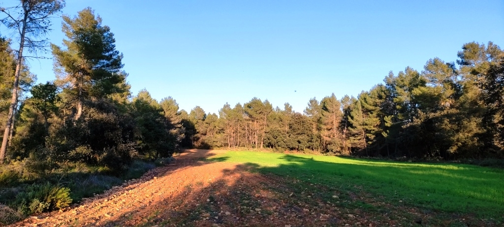 Na sprzedaż - Finca - Bocairent