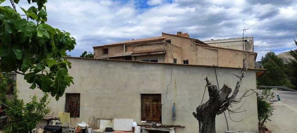 Vente - Finca - Millena