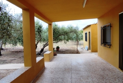 Country House - Te koop - Ontinyent - Ontinyent