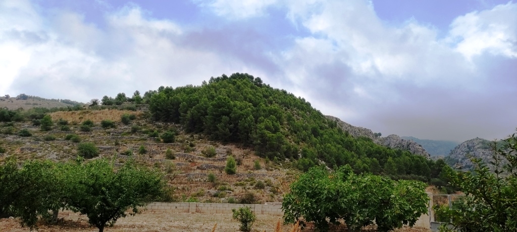 Verkauf - Urban Plot - Lorcha