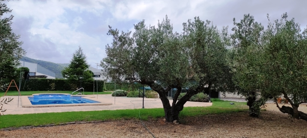 Verkauf - Urban Plot - Lorcha