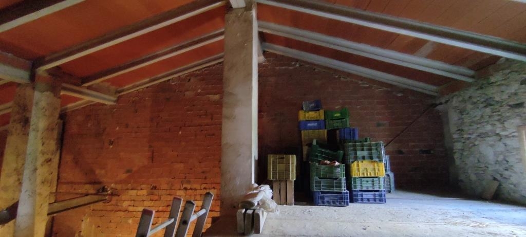 Vente - Finca - Millena